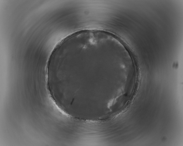 X0000114180840200911051548