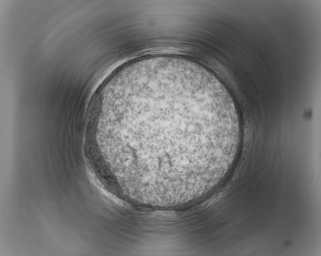 X0000114180844200911051549