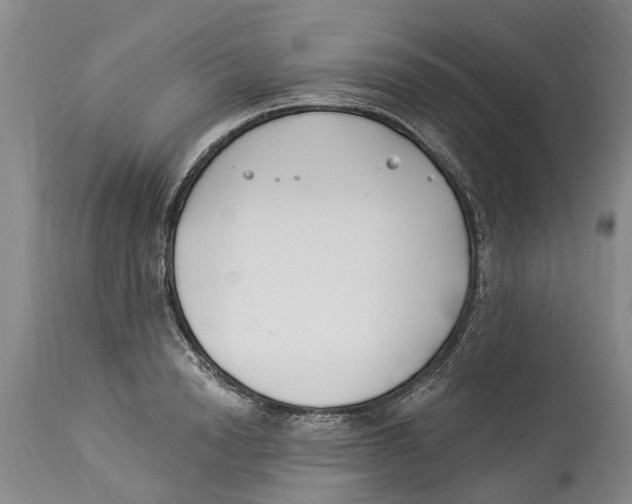 X0000114180846200911051549