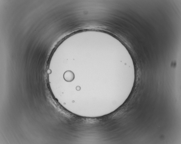 X0000114180848200911051549