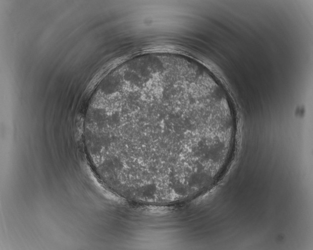 X0000114180849200911051549