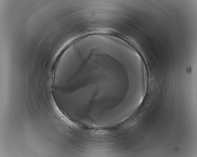 X0000114180851200911051549