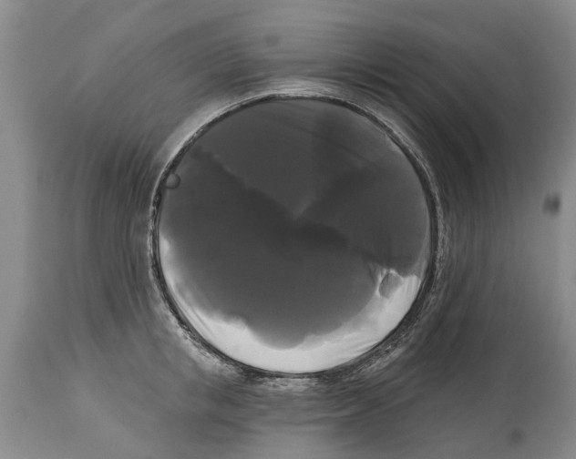 X0000114180853200911051549