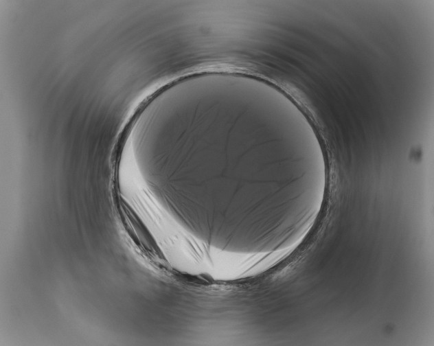 X0000114180854200911051549