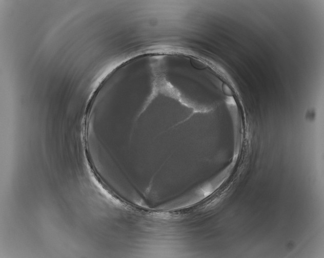 X0000114180855200911051549