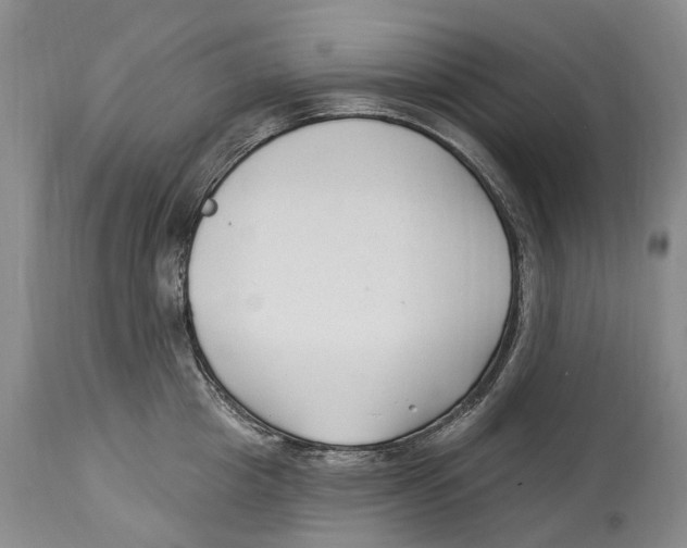 X0000114180857200911051549