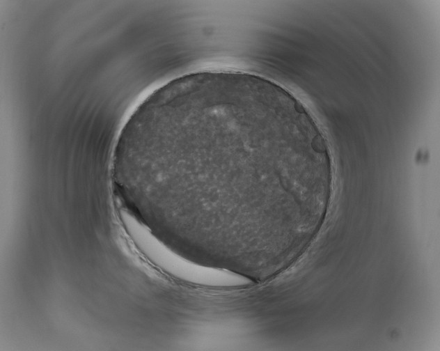 X0000114180864200911051549