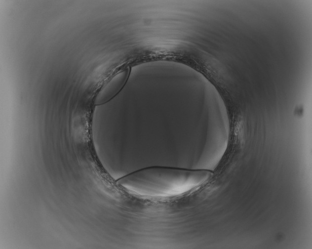 X0000114180868200911051548