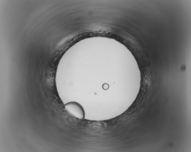 X0000114180869200911051548