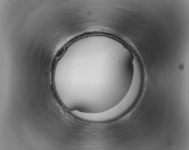 X0000114180877200911051548