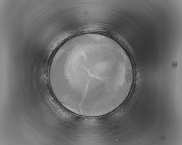 X0000114180882200911051548