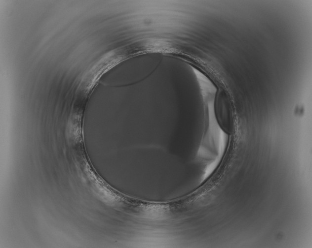 X0000114180889200911051548