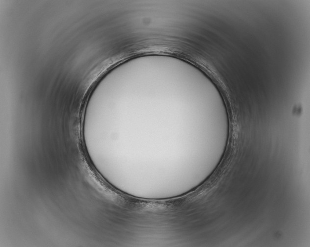 X0000114180890200911051548