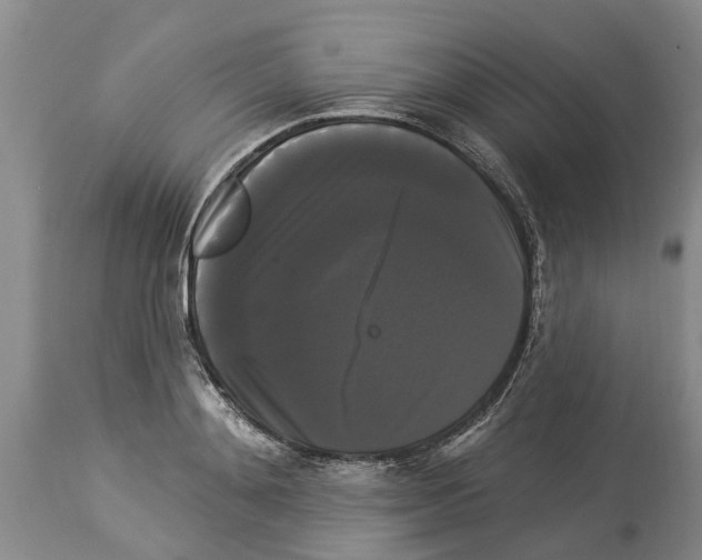 X0000114180892200911051548