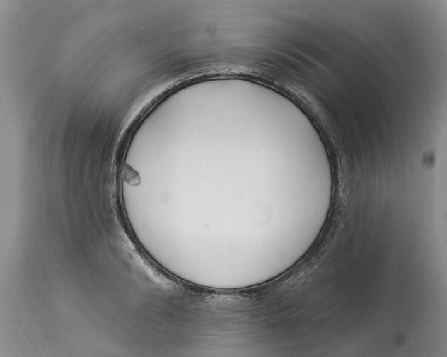 X0000114180894200911051548