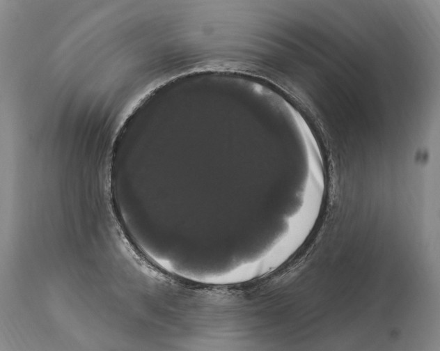 X0000114180896200911051548