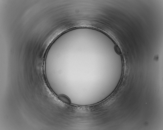 X0000114180901200911051548