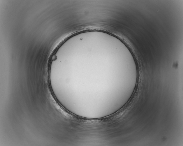 X0000114180902200911051548