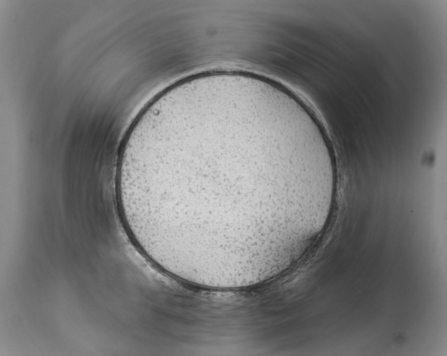 X0000114180903200911051548