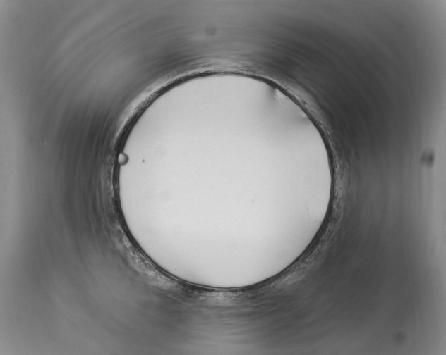 X0000114180904200911051548