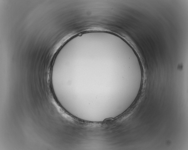 X0000114180909200911051548