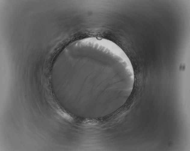 X0000114180913200911051547