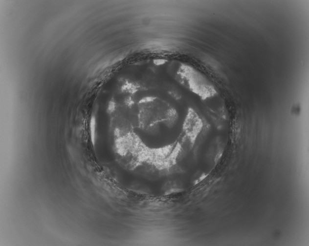 X0000114180917200911051547