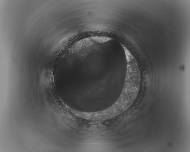 X0000114180918200911051547