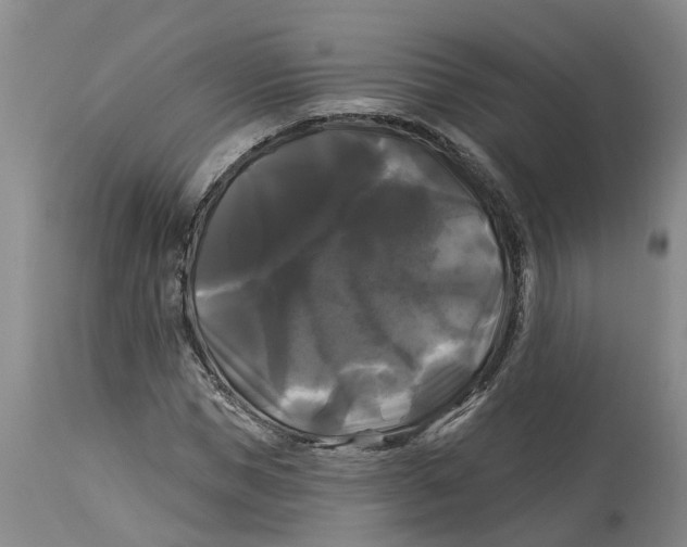 X0000114180921200911051547