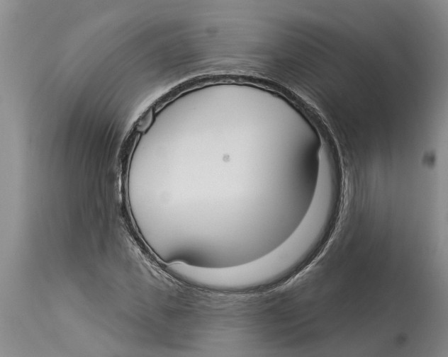 X0000114180925200911051547