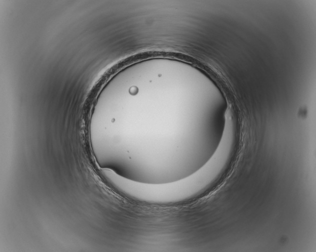 X0000114180926200911051547