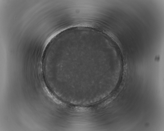 X0000114180928200911051547