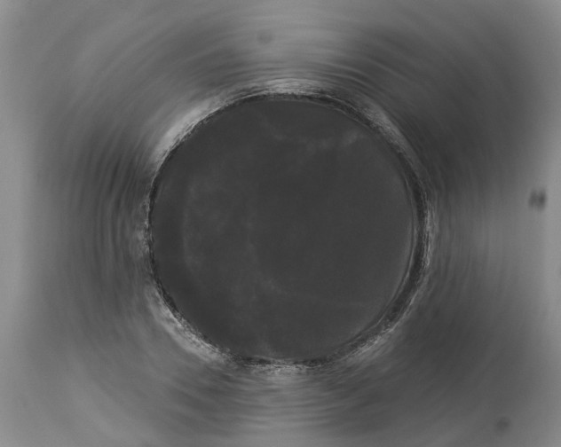 X0000114180930200911051547