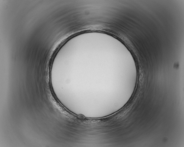 X0000114180939200911051547