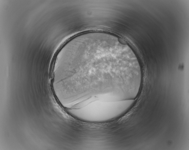 X0000114180940200911051547