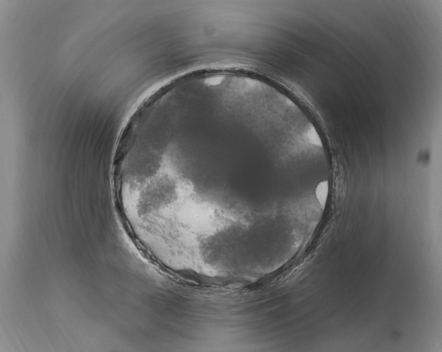 X0000114180943200911051547