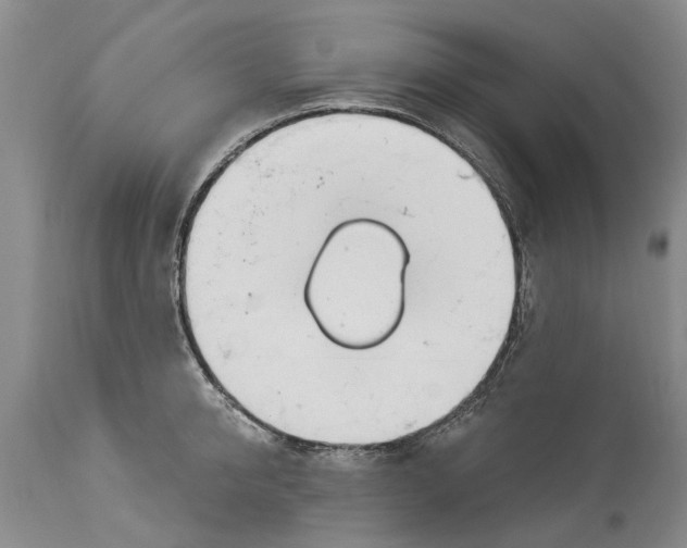 X0000114180950200911051547