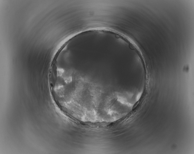 X0000114180951200911051547