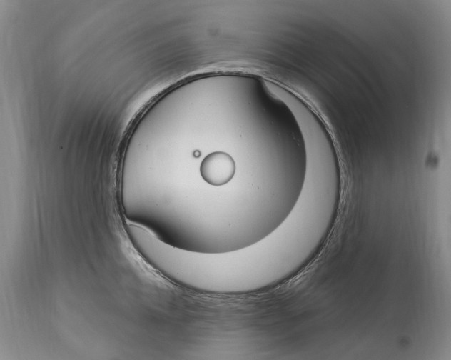 X0000114180952200911051547