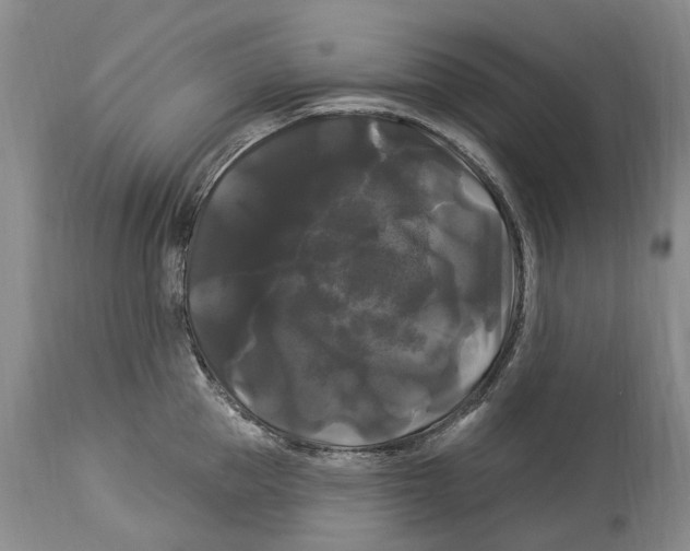 X0000114180953200911051547