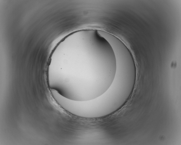 X0000114180960200911051547