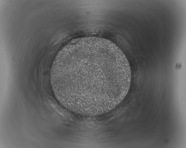 X0000114180961200911051547