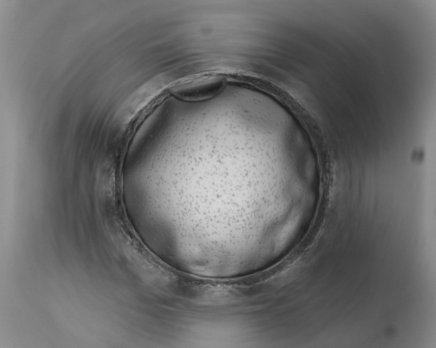 X0000114180969200911051547