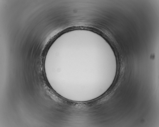 X0000114180974200911051546