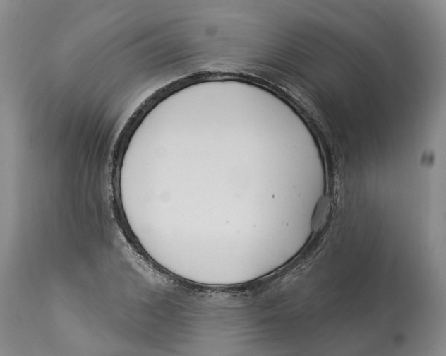 X0000114180976200911051546