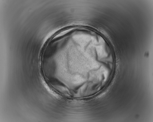 X0000114180981200911051546