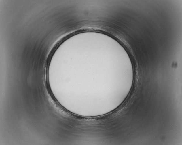 X0000114180984200911051546