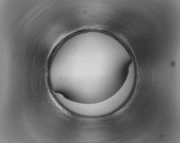 X0000114180989200911051546