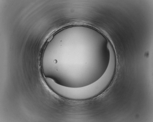 X0000114180997200911051546