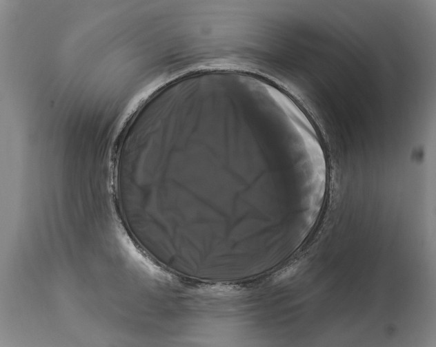 X0000114180998200911051546